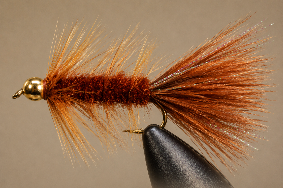 BH Woolly Bugger