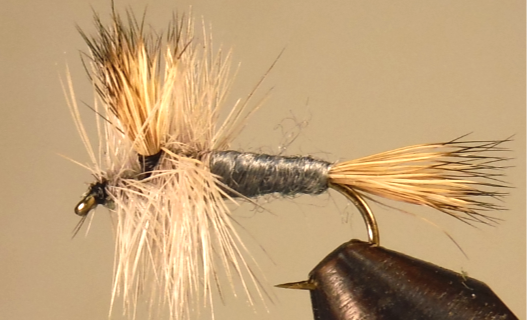 Grey Wulff – Stone Creek Dealers