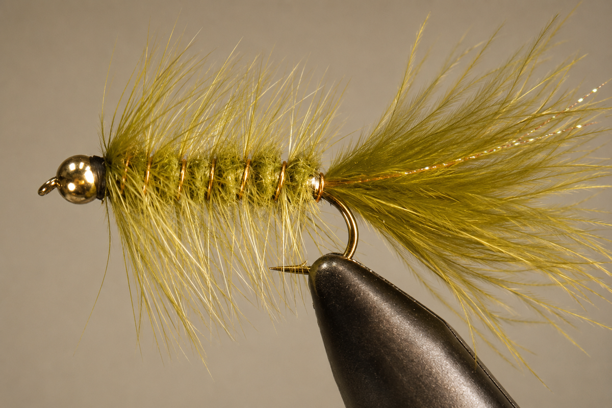 BH Woolly Bugger