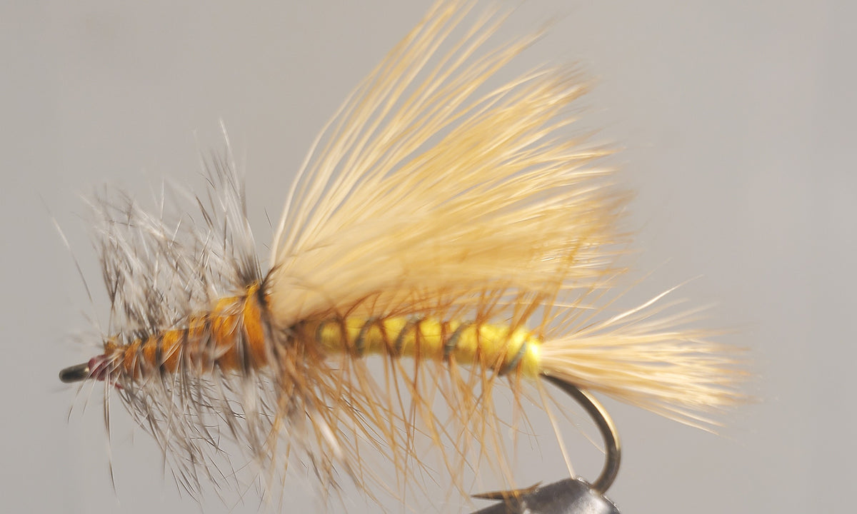 Bleached Wing Stimulator - 4 Colors