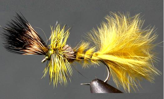 Green Drake - Cripple