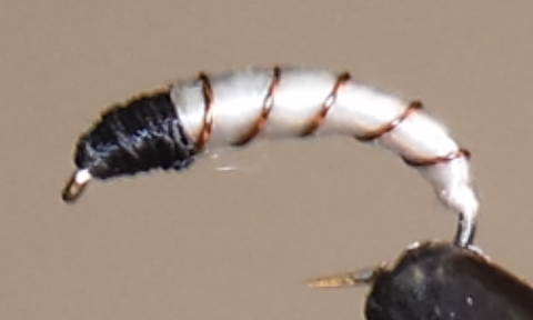 Miracle Nymph - 4 Colors
