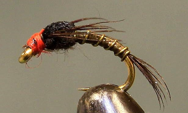 Split Foam Back™ - Orange Head Baetis