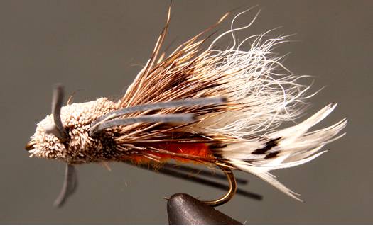 Tarantula - Stone/Hopper Pattern