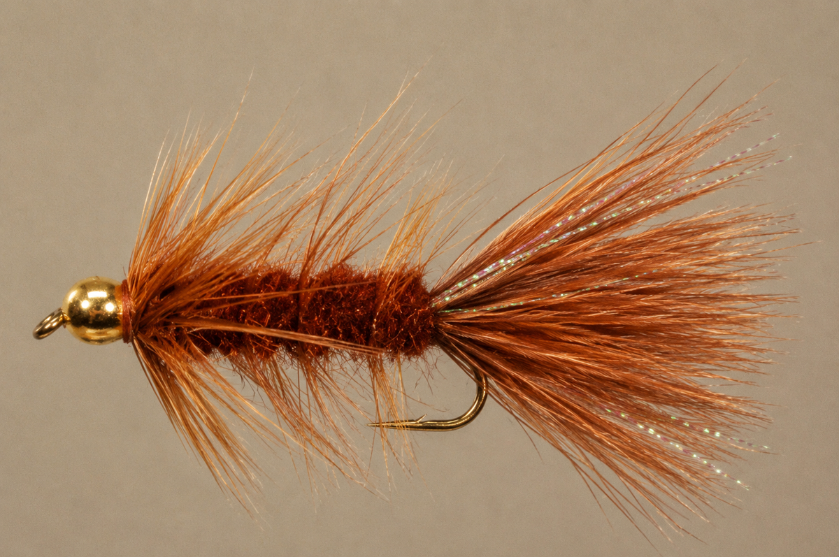 BH Woolly Bugger