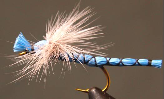 Parachute Damselfly