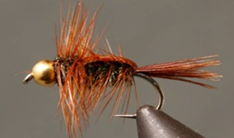 BH Halfback Stonefly Nymph