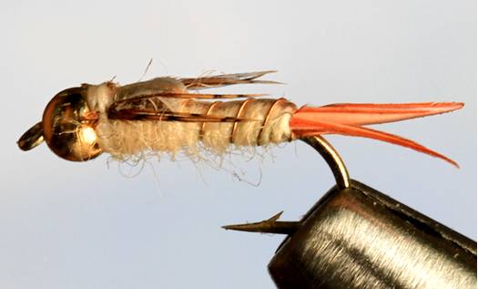 Bead Head Emergers