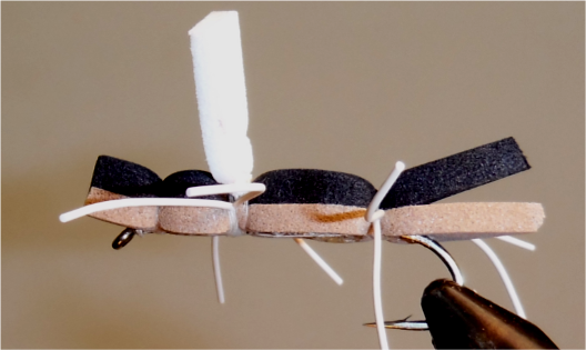 Chernobyl Ant