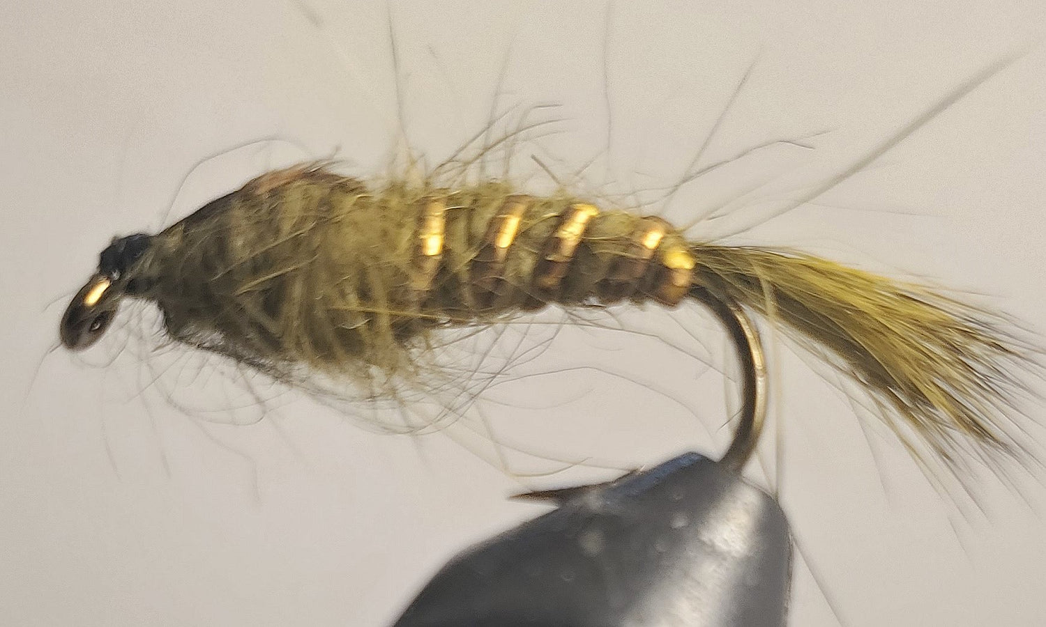 Gold Rib Hare’s Ear - Olive