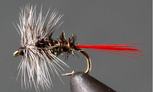 Grey Hackle Peacock