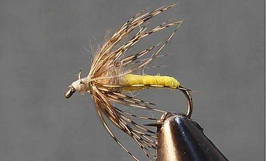 Soft Hackle Grouse
