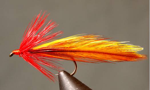 Platte River Special