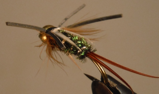 BH Rubber Leg Prince Nymph