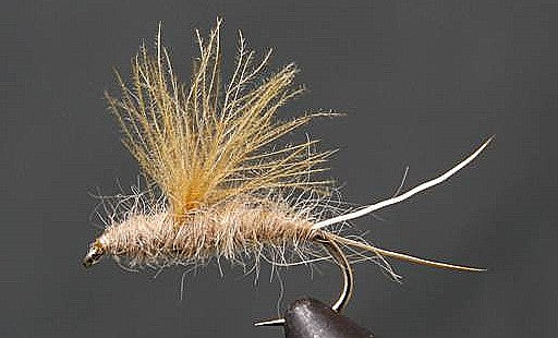 RS2 Emerger - Tan