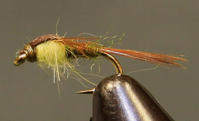 Split Back Fly Split Foam Back™ - PMD – Stone Creek Dealers