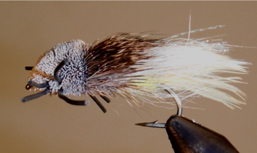 Tarantula - Stone/Hopper Pattern