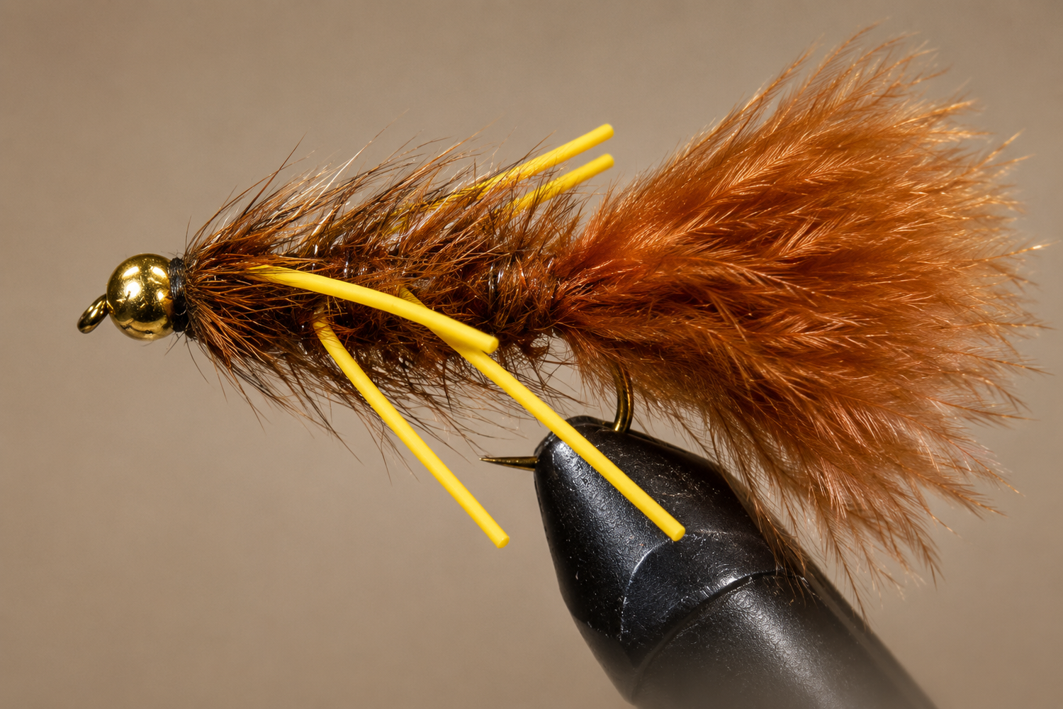 BH Woolly Bugger